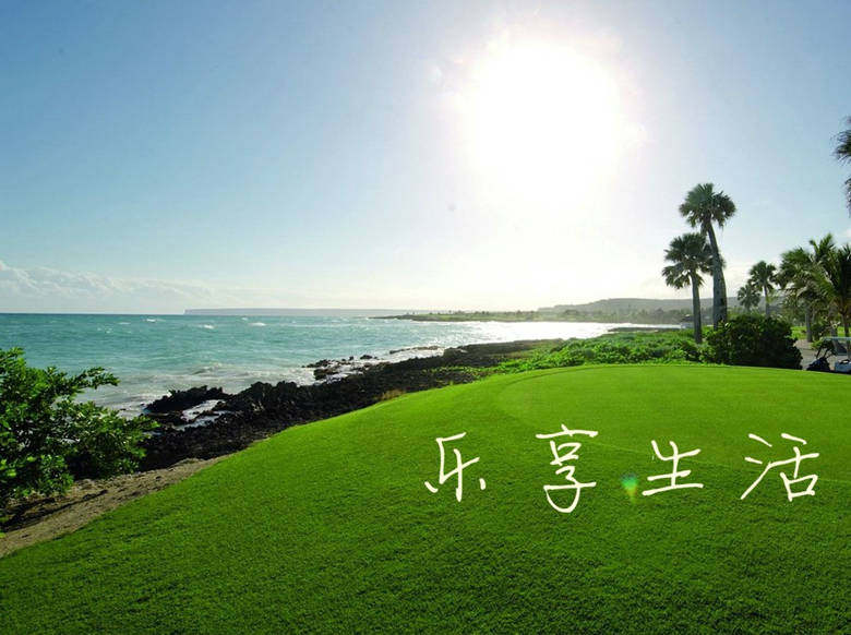 乐享户外伞蓬定制厂家