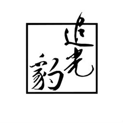 广州追光豹科技企业店