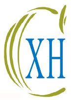 鑫弘成导热硅脂的LOGO