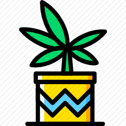乐可植物