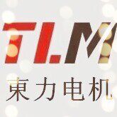 温州东力电机厂家店铺