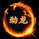 劲龙钓具