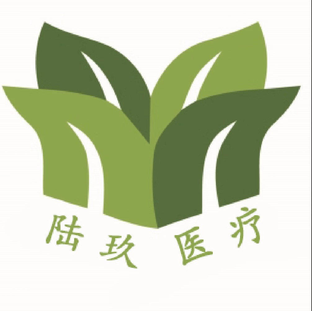 陆玖医疗器械店的LOGO