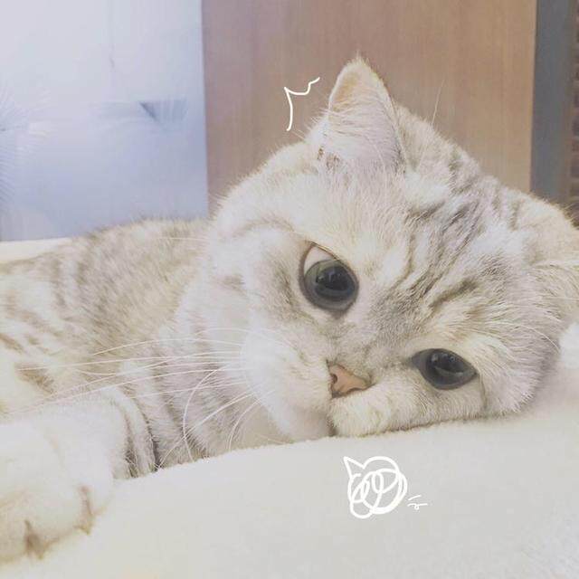 乐夏科技