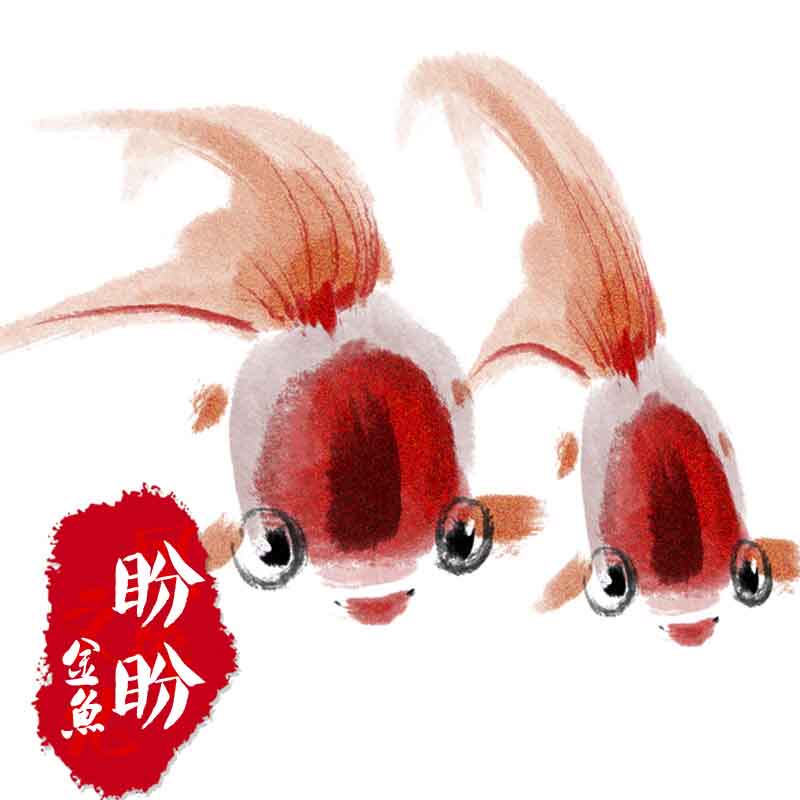 盼盼金鱼的LOGO