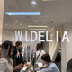 WIDELIA批发零售店