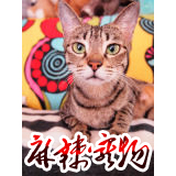 顾医生诊室(原麻辣宠物)