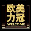 欧美力冠国际进出口