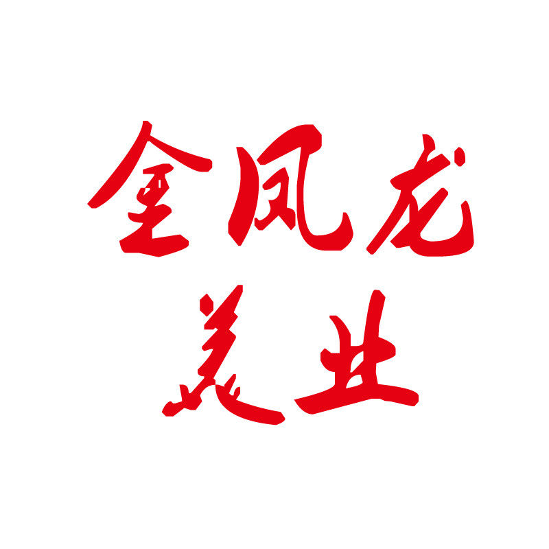 金凤龙美业