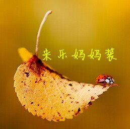 来乐中老年服饰的LOGO