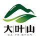 大叶山古茶