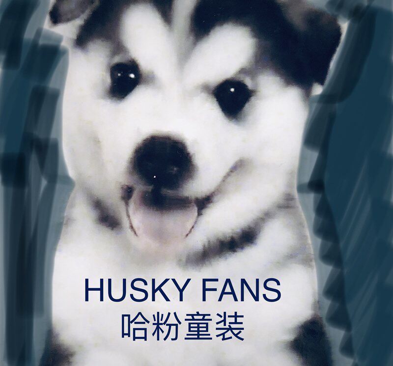 Husky Fans 哈粉