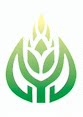 瓯峰芦笋企业店的LOGO