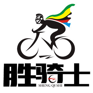 胜骑士的LOGO