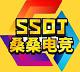 桑桑代练的LOGO