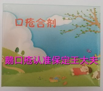 王大夫鹅口疮合剂店