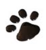 Xbear