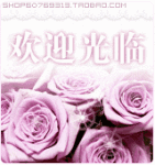 啄木鸟凯其男装
