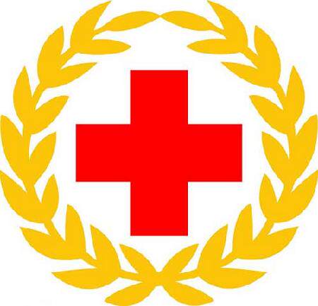 温和款百灭宁苯甲酸苄酯乳剂的LOGO