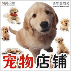 洛阳凯德宠物用品店