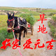 1农家爱无言的LOGO