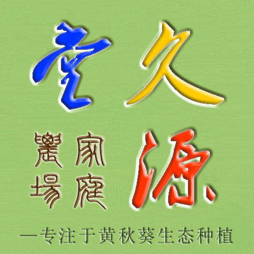 久源养生花草茶