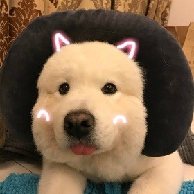 福丽足女鞋