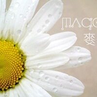 露妈家蛋糕的LOGO