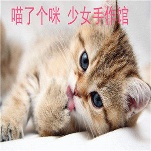 喵了个咪少女手作馆