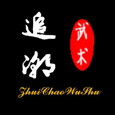 追潮武术器材