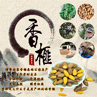 碧橙臻选特产
