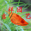 上海吉祥园艺
