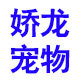 娇龙宠物甄选店