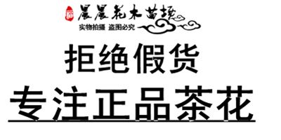 晨晨园艺
