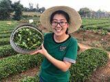 叶尖香茶叶批发超市