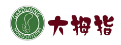 大拇指UV板厂家