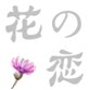 ALWAYS LUCKY的LOGO