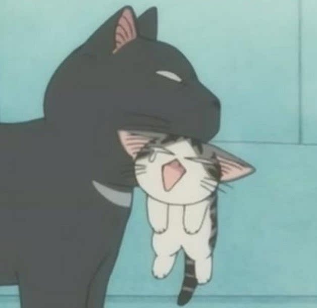 冰兔