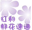 红利鲜花同城速递