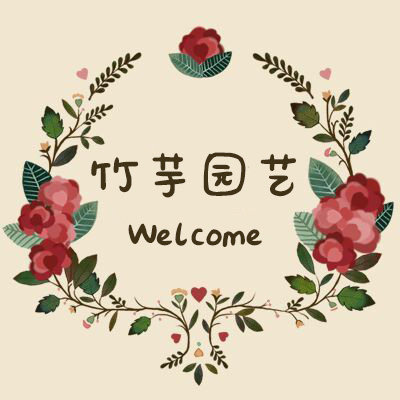 江苏竹芋种业