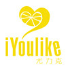 iYoulike System