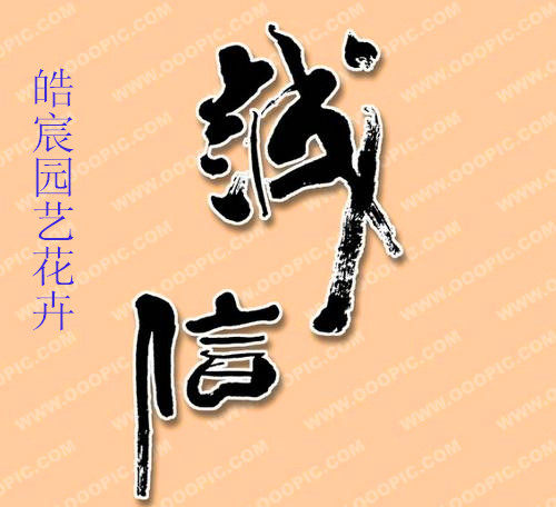 向上园艺花卉