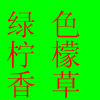 美舍衣品 打底裤 短袜 棉袜 保暖裤