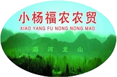 小杨商行