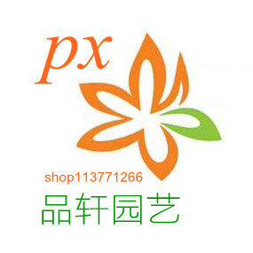 品轩园艺