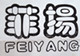菲扬镜业