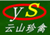 标本制作非遗传承店