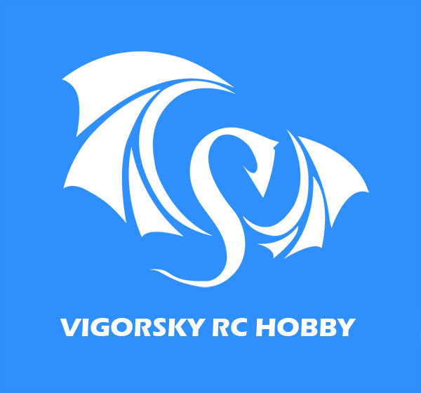 VIGORSKY 锐动天空