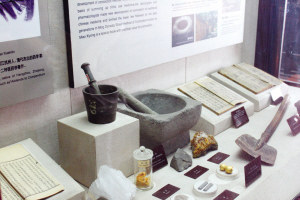京师养生店铺
