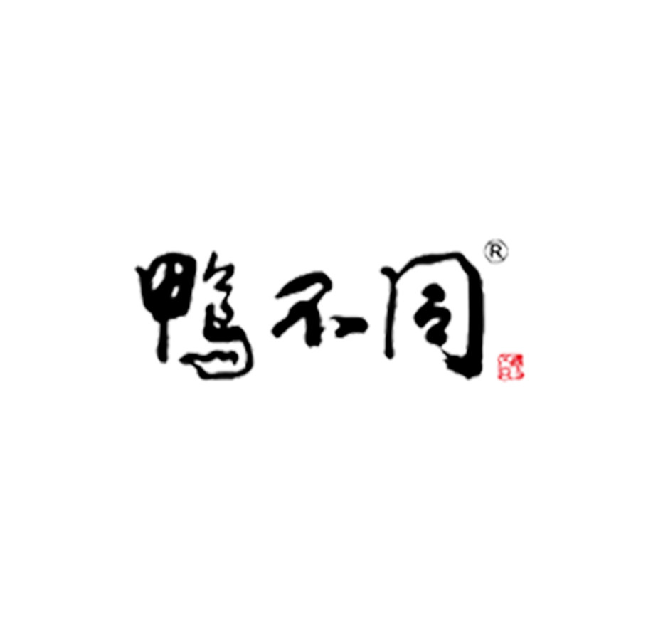 鸭不同